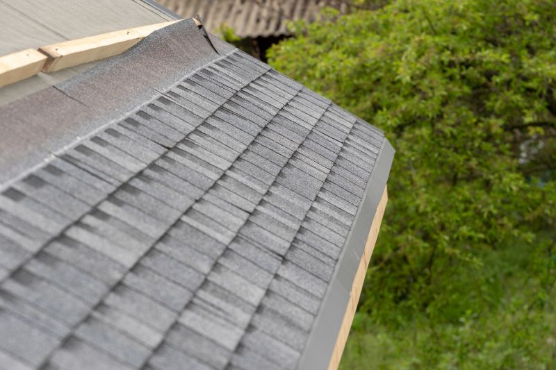 Asphalt Roof Repair