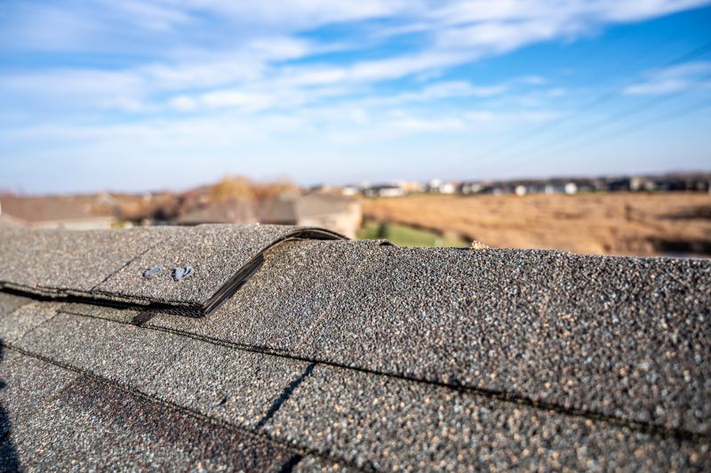 Common Asphalt Roof Repair Issues
