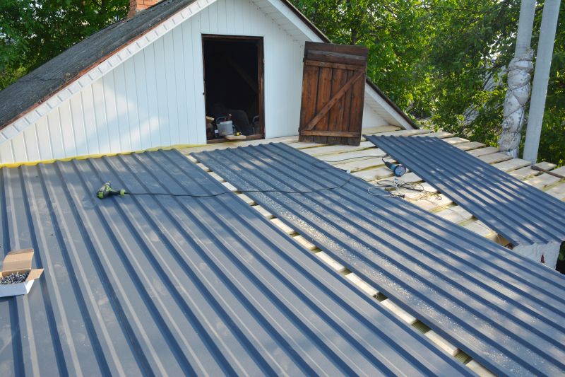Extending The Life Of A Metal Roof